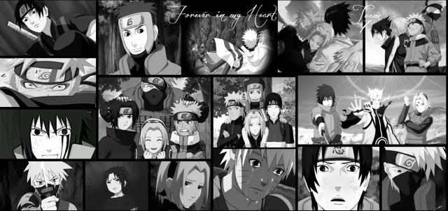 Team 7 Forever in my Heart ! 